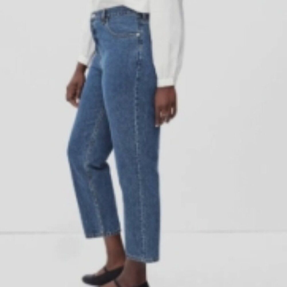 Everlane The ’90s Cheeky® Jean Cropped in Size 27